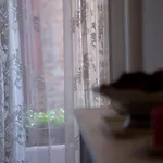 Le Cavallini Sgarbi Di Rina Cavallini Ferrara