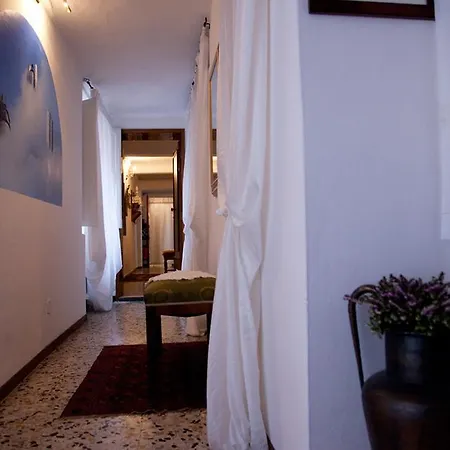 Le Cavallini Sgarbi Di Rina Cavallini