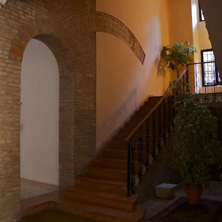 Le Cavallini Sgarbi Di Rina Cavallini